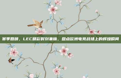 赛季回顾，LEC精彩时刻集锦，盘点欧洲电竞战场上的辉煌瞬间