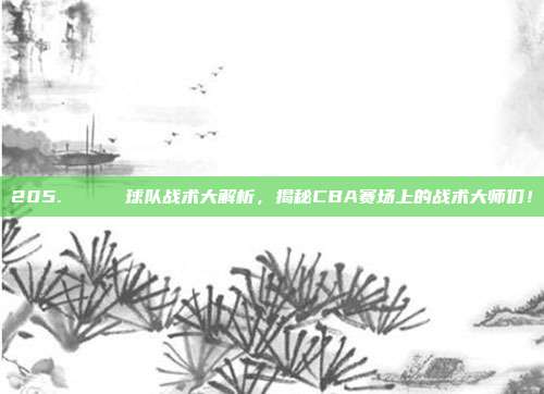 205. 🔔 球队战术大解析，揭秘CBA赛场上的战术大师们！