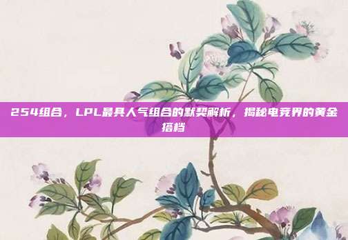 254组合，LPL最具人气组合的默契解析，揭秘电竞界的黄金搭档